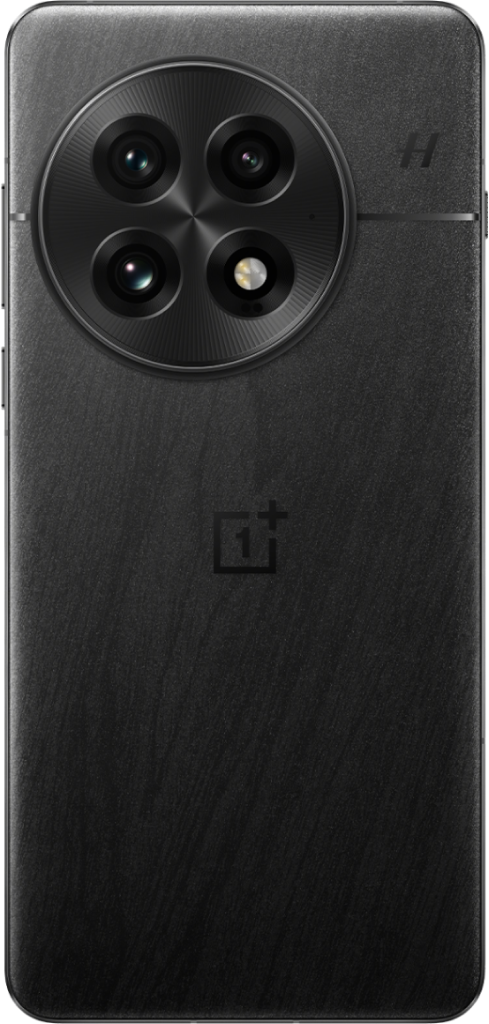 Смартфон OnePlus 13 12/256GB (черный) EU