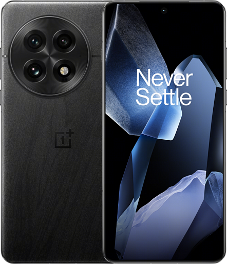Смартфон OnePlus 13 12/256GB (черный) EU